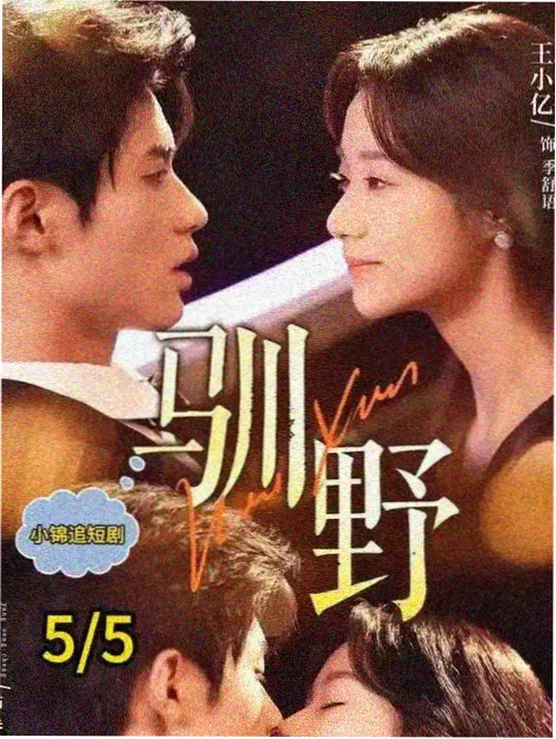 法律与秩序